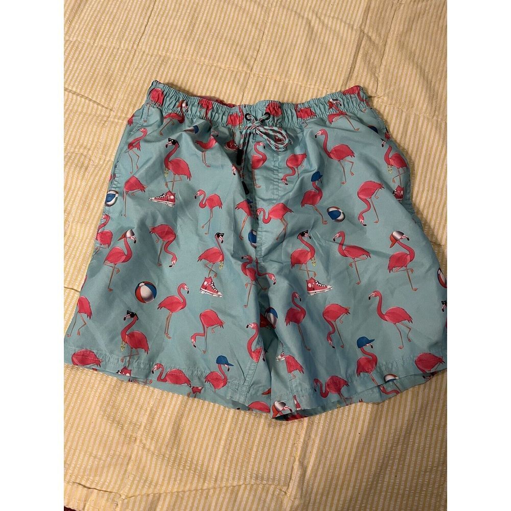 Broken Threads Size Small‎ Swim Trunks NWOT Flamingo Beachball